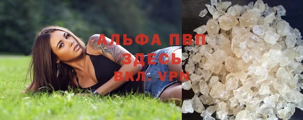 дживик Весьегонск